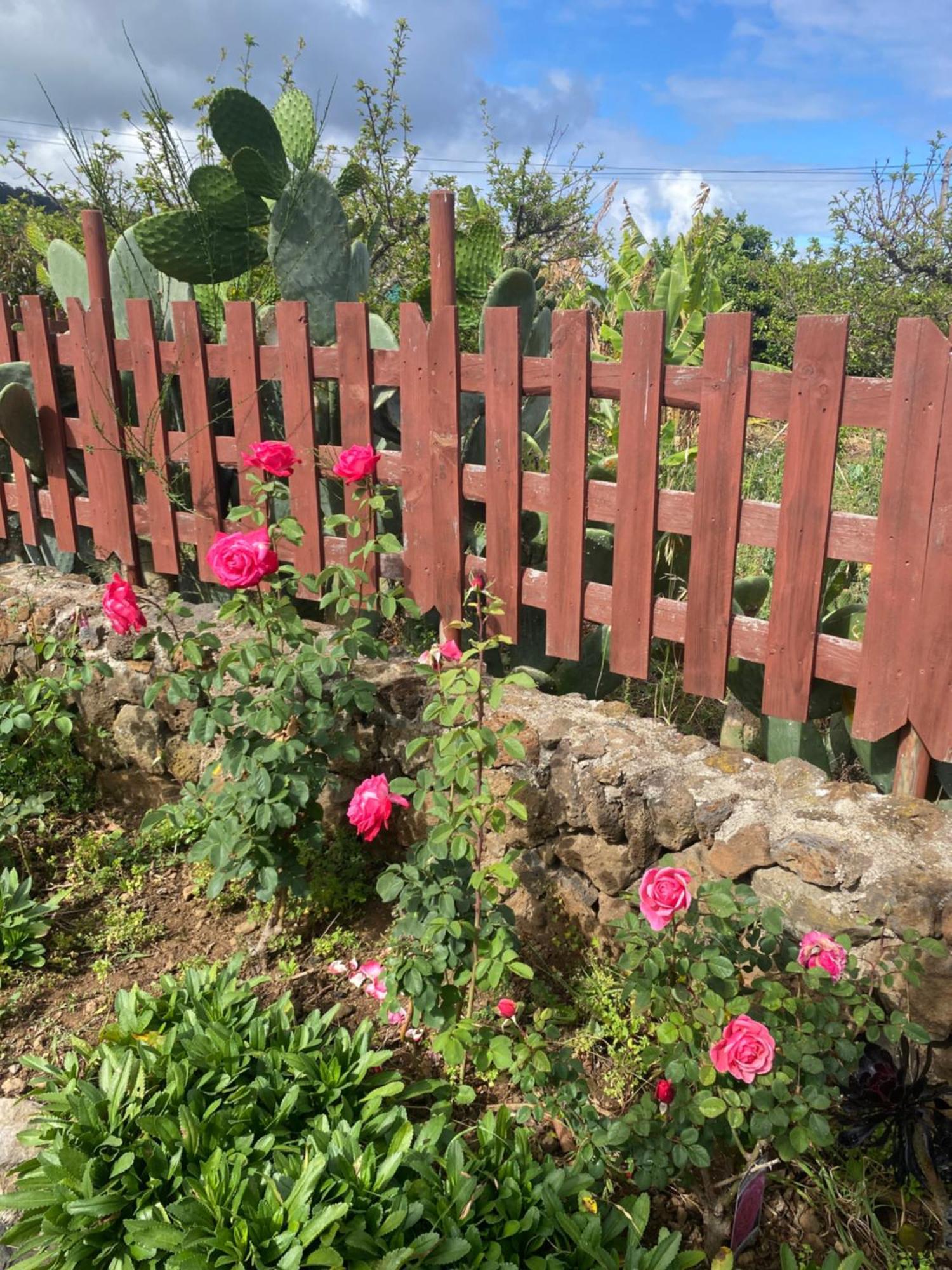 Rural House To Take A Break, La Serreria 25 - Private Garden Tacoronte Exterior foto
