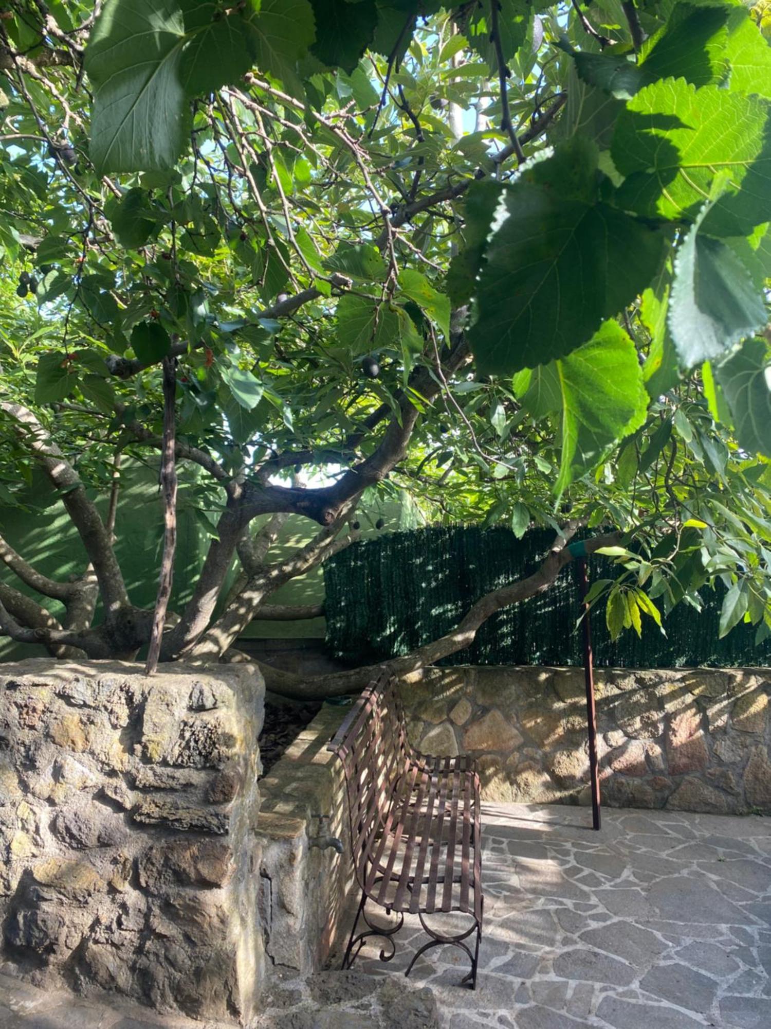 Rural House To Take A Break, La Serreria 25 - Private Garden Tacoronte Exterior foto